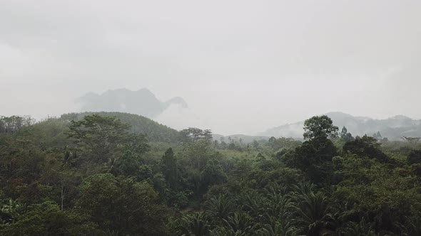 Flying Above the Tropical Rainforest on a Cloudy Rainy Day