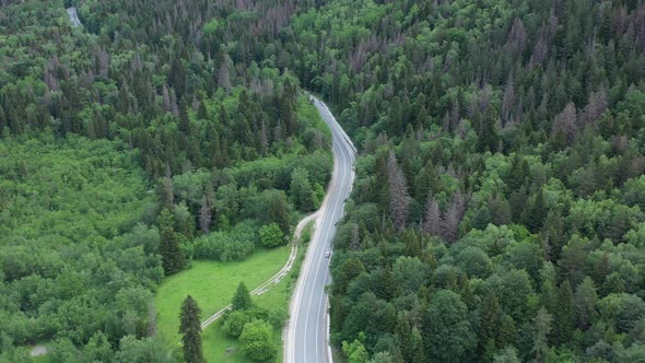 Top view of the mountain road through the forest.