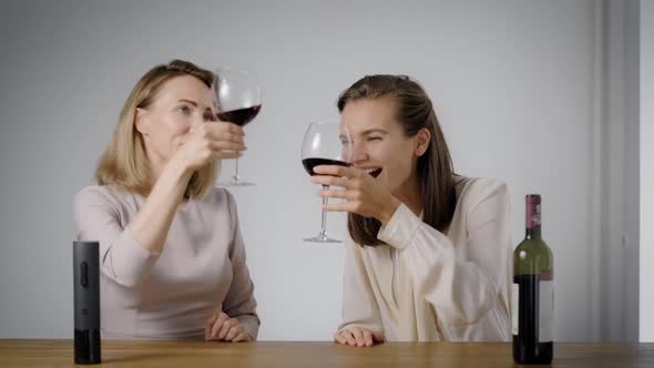 Two Attractive Girls Drink Wine in Apartments. Blonde and Brunette, Have Fun Chatting Over a Glass alt