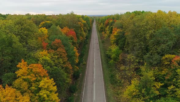Aerial Video of Autumn Forest and Road by RedRead | VideoHive