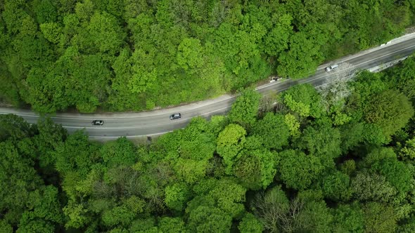 Top Down View of the Forest Road with Car alt