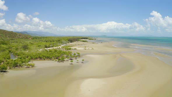 Aerial View On Low Tide, Huge Sand Ocean Bed And Mangroves Growing In Queensland Australia