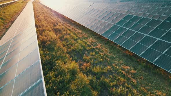 Aerial View of Solar Farm on the Green Field at Sunset Time Solar Panels in Row alt