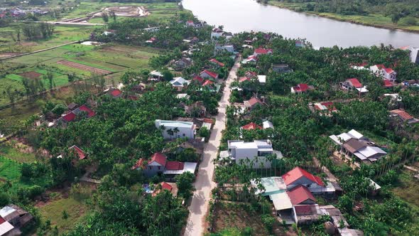 Aerial view of a Vietnamese plain village with rows of areca trees