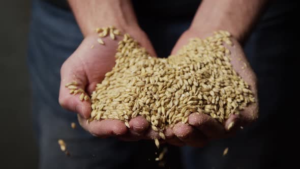 Slow motion footage of beer home brewing supplies and processes - BEER BREWING 055 alt