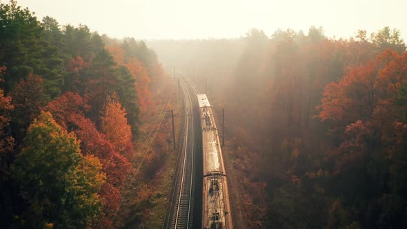 Train in Colorful Forest in Fog at Sunrise in Autumn