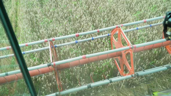 Harvesting Mowing Ripe Wheat in Sunny Summer Weather alt