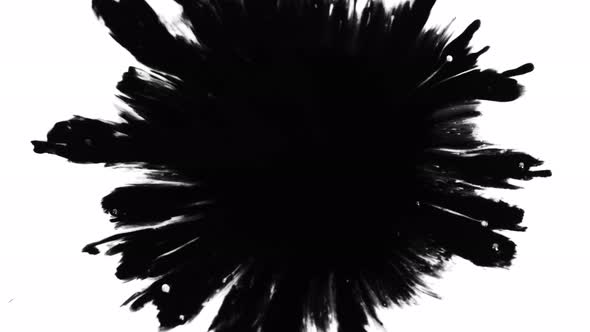 Super Slow Motion Shot of Black Ink Drop Isolated on White Background at 1000 Fps alt