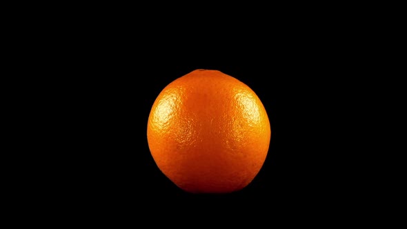 Oranges on a Black Background alt