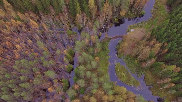 Slowly rotating aerial video of a beautiful autumn colored Finnish forest and flooding river caused alt