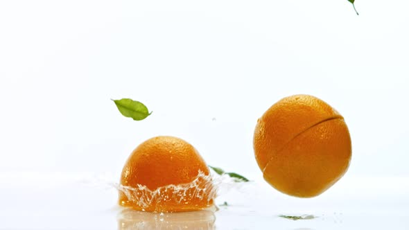 Fresh Oranges Dropped Into Water with Splash Shooted with High Speed Cinema Camera at 1000 Fps alt