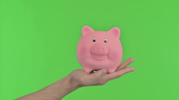 Piggy Bank Chroma Key alt