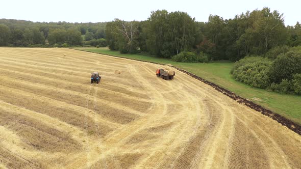 Helicopter View Agricultural Machinery Working in the Field Harvesting