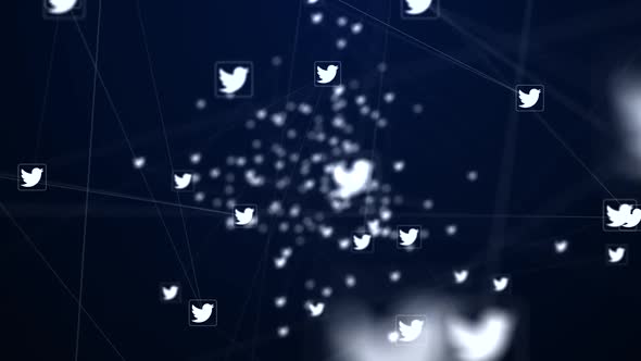 Twitter Icon Connection Network alt