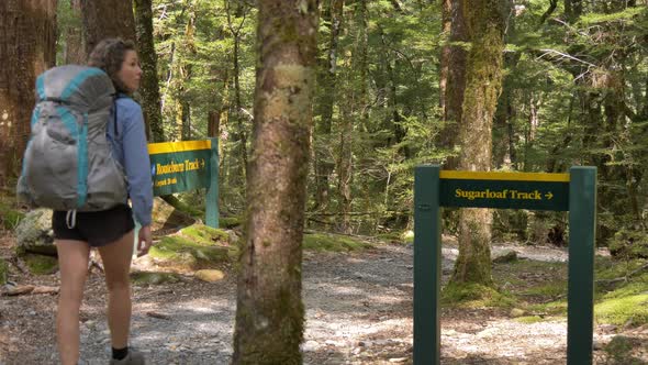 Slider, female hiker walks past Routeburn Track signs in forest, New Zealand alt