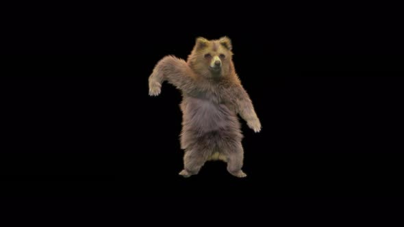 124 Bear Dancing 4K alt