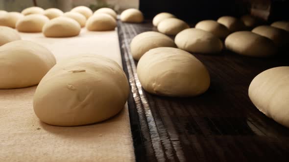 Dough Cakes Travel Along the Conveyor Belt to the Oven
