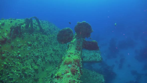 Shipwreck on the Sea Bottom