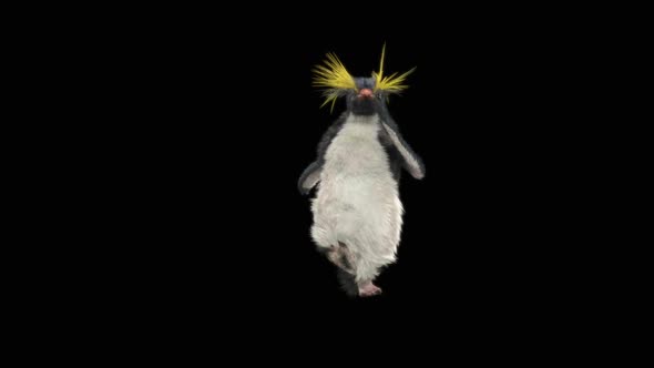 Penguin Dancing HD alt