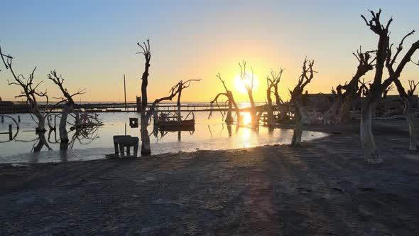 Golden hour along shoreline of Epecuen Town Shot tracking forward alt