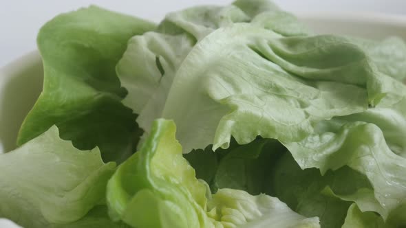 Green Lactuca sativa salad slow tilt 4K 2160p 30fps UltraHD footage - Heap of lettuce leaf vegetable alt