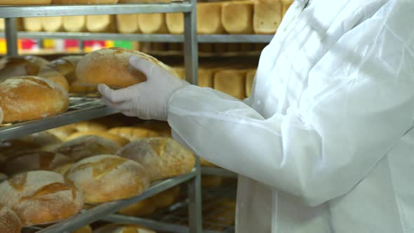 A Baker in a Bakery Holds Freshly Baked Bread. Production of Bakery Products Close Up. Freshly Baked alt