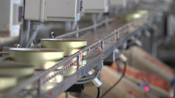 Canned Fish Production Line 64