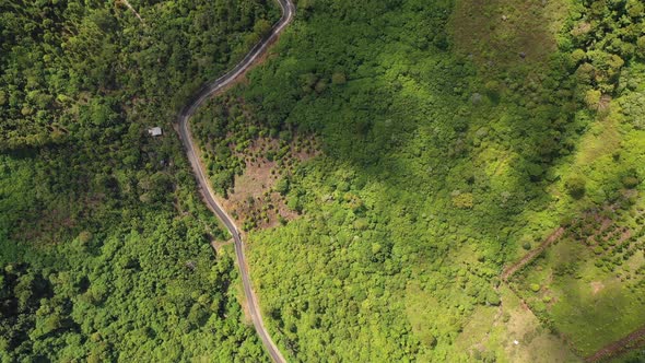 AH - Village Road With Trees (1)