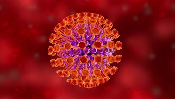 Animation of a Hepatitis virus