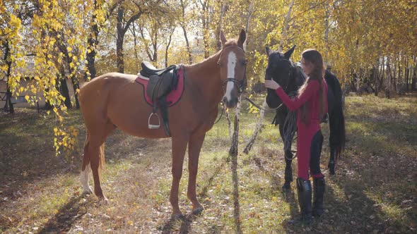 Pretty Caucasian Female Equestrian Standing with Two Horses in the Autumn Forest. Young Woman in alt