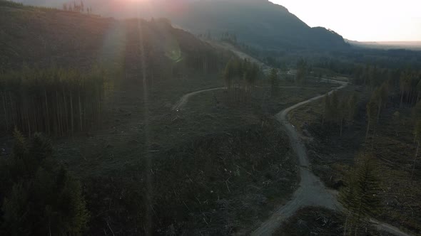 Dramatic Drone View Of Logging Deforestation For Lumber Industry alt