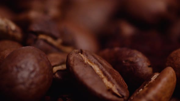 Dolly macro footage of brown roasted coffee grains with different shape and pattern from Brazil alt