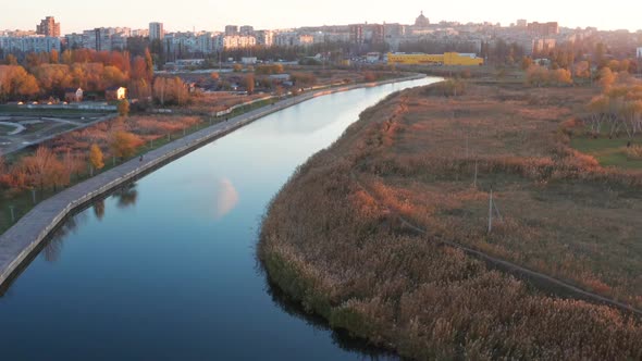 River in the city overgrown with reeds