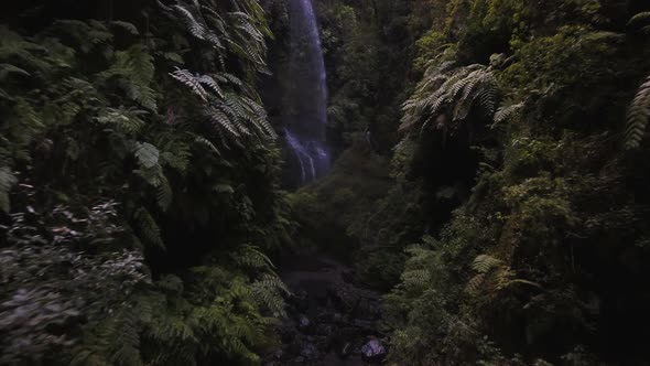 Aerial of Mysterious Jungle Waterfall