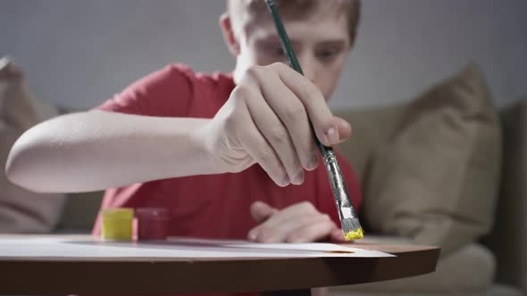 Portrait of a Boy with Down Syndrome alt