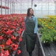Young Woman in the Greenhouse with Flowers Checks a Pot of Red Poinsettia on the Shelf - VideoHive Item for Sale