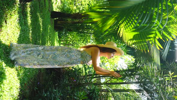 Vertical Video of Travel Woman Walking in Tropical Jungle in Hot Summer Day alt