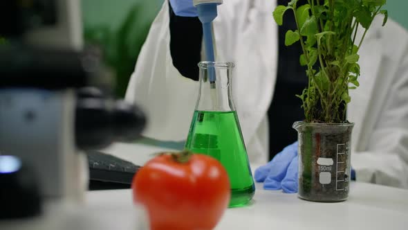 Closeup of Botanist Reseacher Woman Taking Dna Liquid Test From Medical Glass with Micropipette alt
