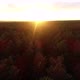 Aerial Flying Over Trees Forest at Sunrise Wide Shot - VideoHive Item for Sale