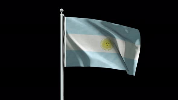 Argentina Flag Big