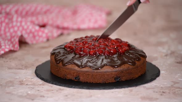 Female hands cutting chocolate cherry cake in slices.	