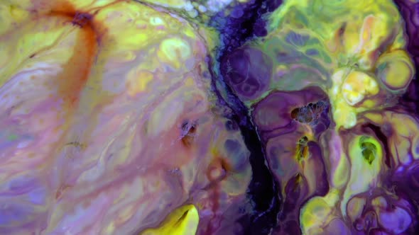 Color Explosion Abstract Art Painting 31 alt