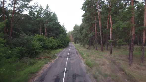 Flight and Takeoff Over an Old Road in a Pine Forest