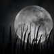 4K Full Moon or Harvest Moon in the Fall - VideoHive Item for Sale