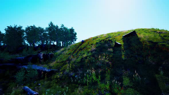 Beautiful Panoramic Landscape of the Pyrenees Mountain Valley alt