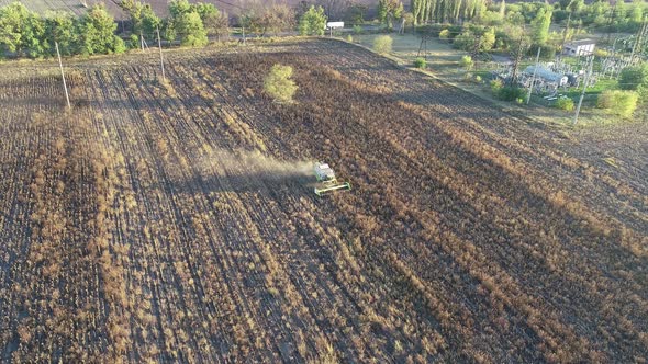 The Harvester Drives Through the Field with Sunflowers and Harvests