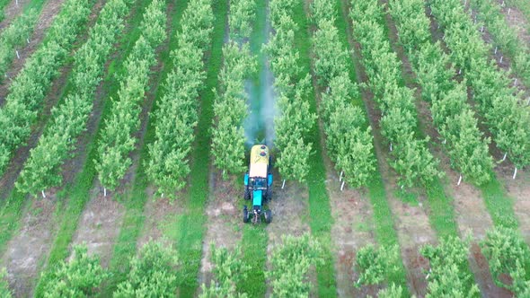 Tractor Spraying Apple Trees In Garden With Herbicides And Pesticides Aerial alt