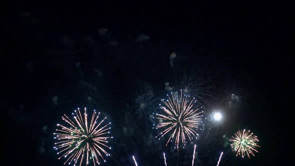 Colorful Firework display at night on sky background alt