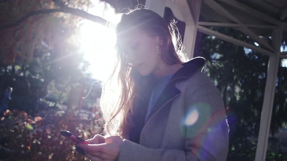 Sunlit Woman Looking At Smartphone