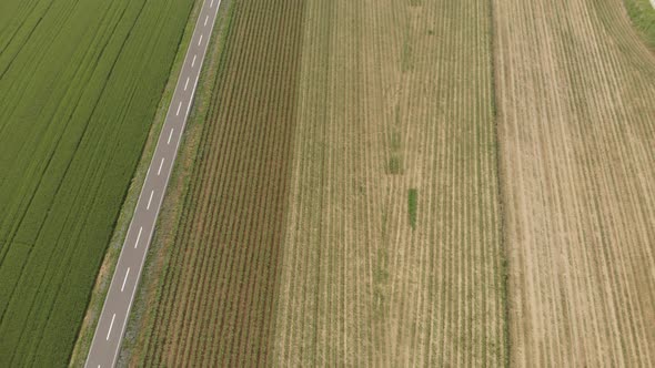 Aerial: tractor working on cultivated fields farmland, agriculture occupation, top down view alt